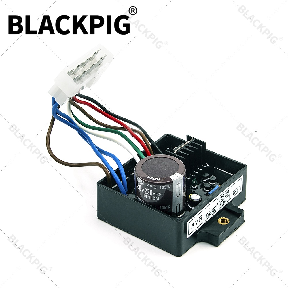TR222 EG2500 AVR Automatic Vol - đánh giá và giá Cycloidal Reducer Bldc Motor